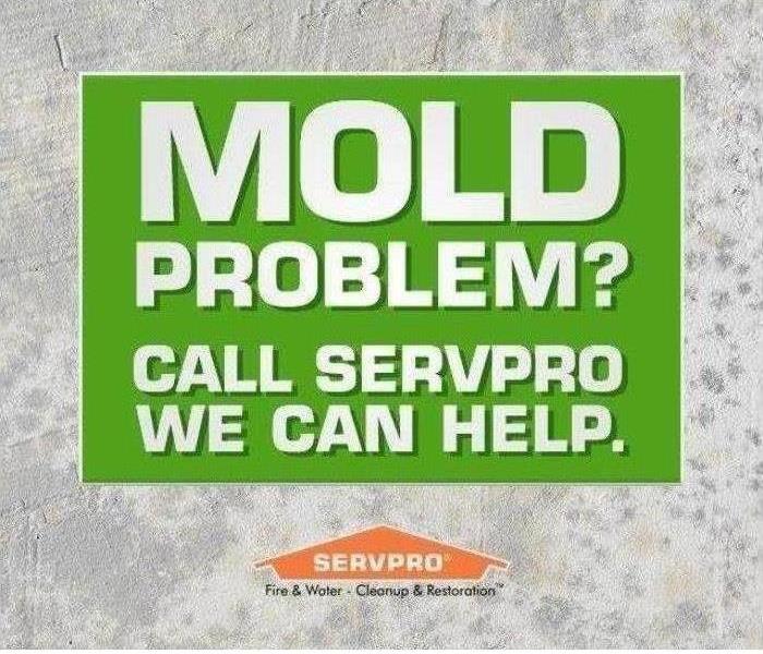 Mold Problem?