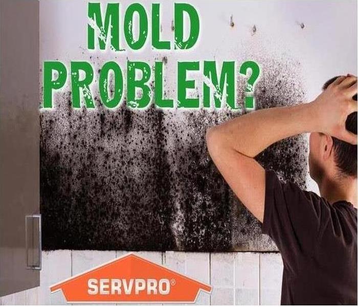 Mold Problem?